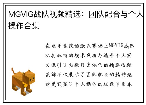 MGVIG战队视频精选：团队配合与个人操作合集