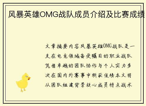 风暴英雄OMG战队成员介绍及比赛成绩